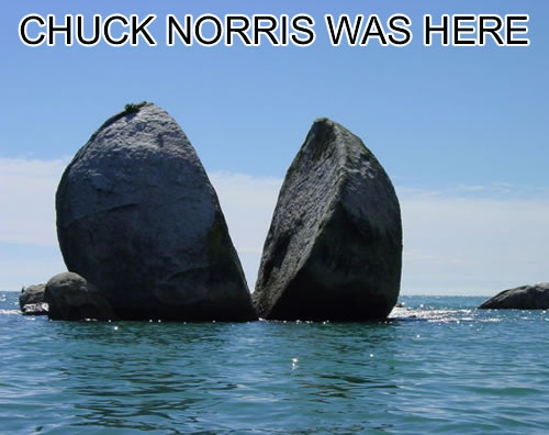 chuck norris joke statue